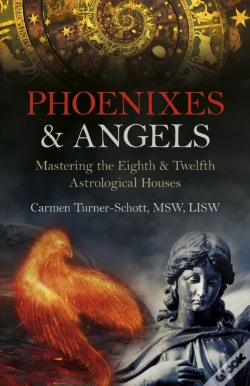 Capa do artigo Phoenixes & Angels