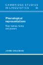 Phonological Representations - Preview