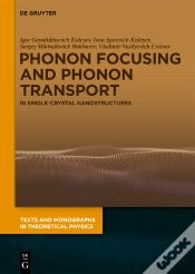 Capa do artigo Phonon Focusing And Phonon Transport