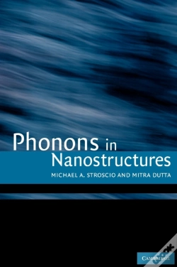 Capa do artigo Phonons In Nanostructures