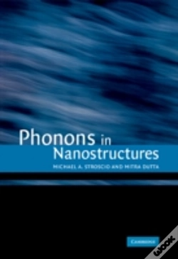 Capa do artigo Phonons In Nanostructures