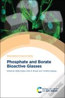 Phosphate And Borate Bioactive Glasses