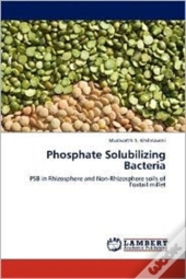 Phosphate Solubilizing Bacteria