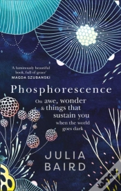 Capa do artigo Phosphorescence