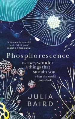 Capa do artigo Phosphorescence