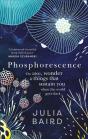 Phosphorescence - Preview