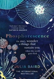 Capa do artigo Phosphorescence