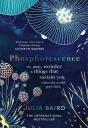 Phosphorescence - Preview