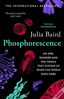 Capa do artigo Phosphorescence