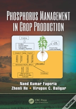Capa do artigo Phosphorus Management In Crop Production