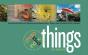 Photo Idea Index - Things - Preview
