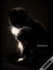 Capa do artigo Photocat.