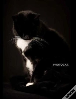 Capa do artigo Photocat.