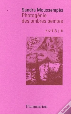 Capa do artigo Photogénie Des Ombres Peintes