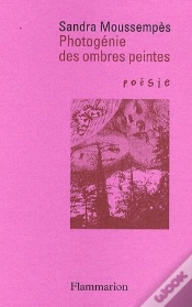 Capa do artigo Photogénie Des Ombres Peintes