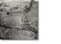 Photographies Sans Nom - Preview
