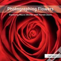 Photographing Flowers