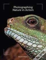 Photographing Nature In Action