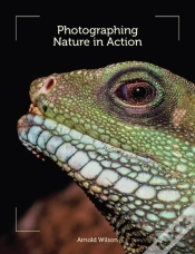 Capa do artigo Photographing Nature In Action