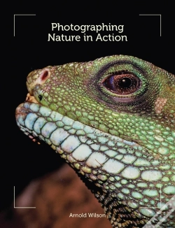 Capa do artigo Photographing Nature In Action