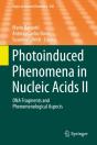 Photoinduced Phenomena In Nucleic Acids Ii - Preview