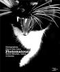 Photomatous - Preview