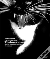 Capa do artigo Photomatous