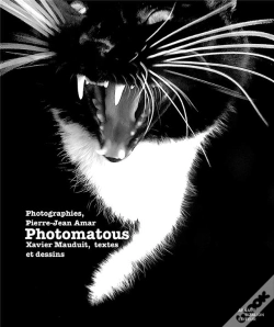 Capa do artigo Photomatous