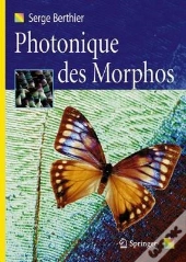 Photonique Des Morphos