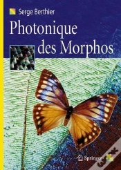 Capa do artigo Photonique Des Morphos