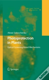 Photoprotection In Plants