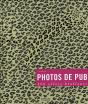 Photos De Pub ; 400 Effets Bluffants - Preview