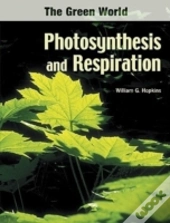 Photosynthesis And Respiration