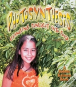 Capa do artigo Photosynthesis