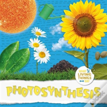 Photosynthesis