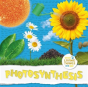 Photosynthesis - Preview