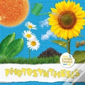 Capa do artigo Photosynthesis