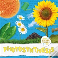 Capa do artigo Photosynthesis