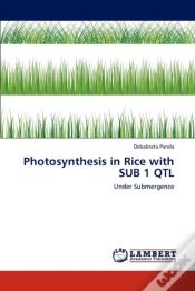 Capa do artigo Photosynthesis In Rice With Sub 1 Qtl