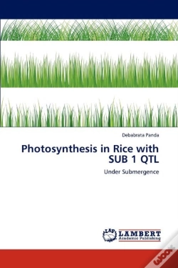 Capa do artigo Photosynthesis In Rice With Sub 1 Qtl