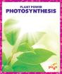 Photosynthesis - Preview