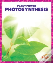 Photosynthesis