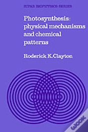 Capa do artigo Photosynthesis