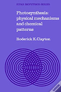 Capa do artigo Photosynthesis