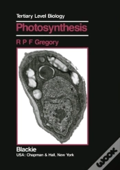 Capa do artigo Photosynthesis