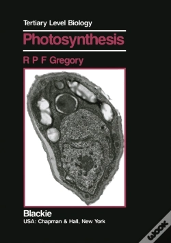 Capa do artigo Photosynthesis