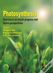 Capa do artigo Photosynthesis