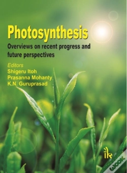 Capa do artigo Photosynthesis