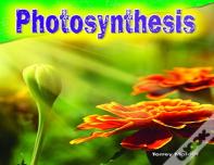Photosynthesis