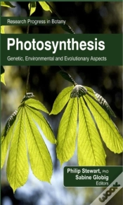 Capa do artigo Photosynthesis